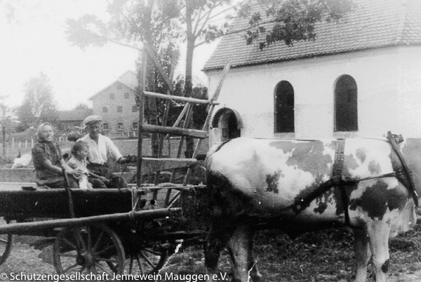 Ochsenfuhrwerk beim Drechsler in den 40er-Jahren 